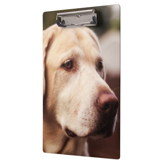 Labrador Retriever Klembord (Links)