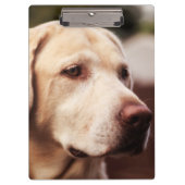 Labrador Retriever Klembord (Voorkant)