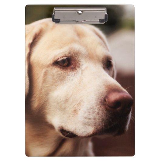 Labrador Retriever Klembord (Voorkant)