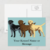 Labrador Retriever-kleuren Briefkaart (Voorkant / Achterkant)