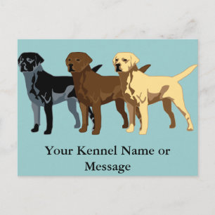 Labrador Retriever-kleuren Briefkaart