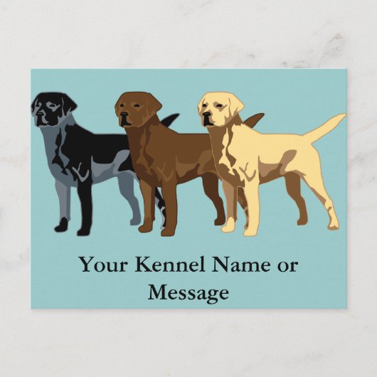 Labrador Retriever-kleuren Briefkaart (Voorkant)