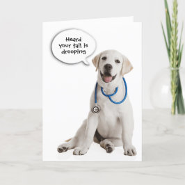 Labrador Retriever komt binnenkort goed Kaart