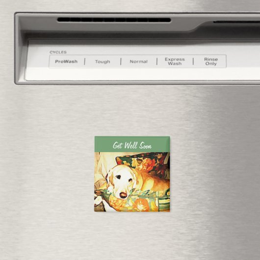 Labrador Retriever krijgt een goed magneet (Insitu (Vaatwasser))