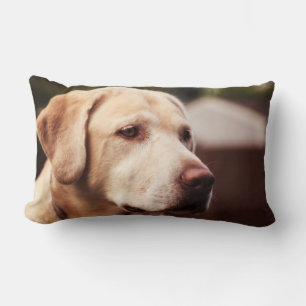 Labrador Retriever Kussen