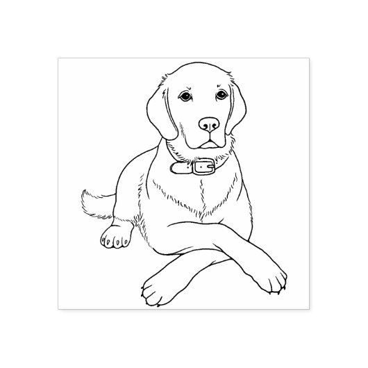 Labrador Retriever Lab Hond Rubber Stamp Rubberstempel (Afrduk)
