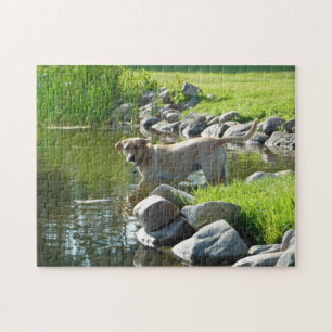Labrador Retriever Lake Rocks Legpuzzel