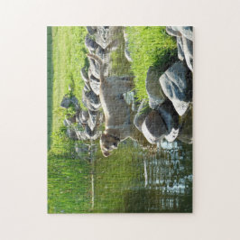 Labrador Retriever Lake Rocks Legpuzzel