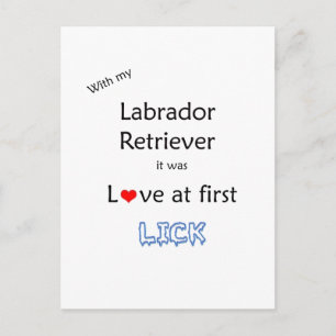 Labrador Retriever Liefde bij Eerste Lick Briefkaart