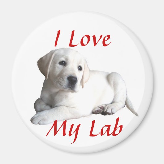 Labrador Retriever Liefdesmagneet Magneet (Voorkant)