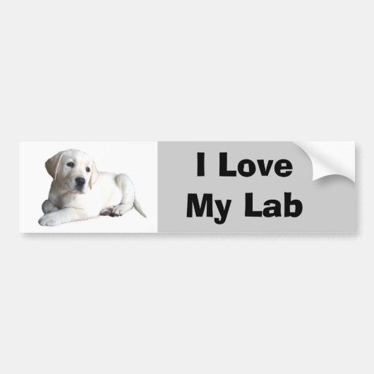 Labrador Retriever Love Bumpersticker (Voorkant)