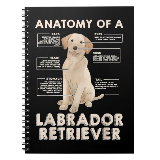 Labrador Retriever Lover Funny Anatomy of a Labrad Notitieboek (Voorkant)