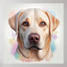 Labrador Retriever Magische grillige kunst