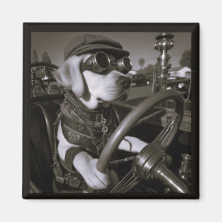 Labrador Retriever magneet