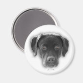 Labrador Retriever Magnet (Voorkant / Achterkant)