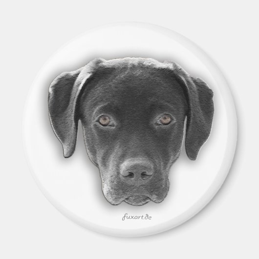 Labrador Retriever Magnet (Voorkant)