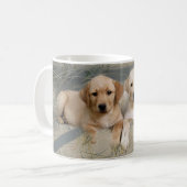 Labrador Retriever Mam Mok Puppies (Voorkant links)