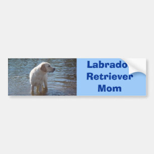 Labrador Retriever mama Bumpersticker