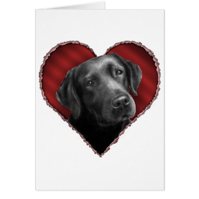 Labrador Retriever met hart (Voorkant)