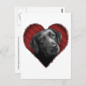 Labrador Retriever met hart Briefkaart (Voorkant / Achterkant)