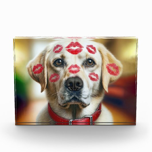 Labrador Retriever met Lipstick Kusjes Fotoblokken (Voorkant)