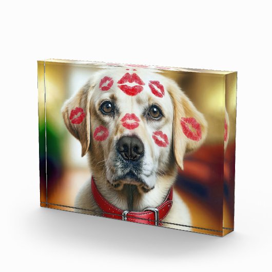 Labrador Retriever met Lipstick Kusjes Fotoblokken (Rechts)