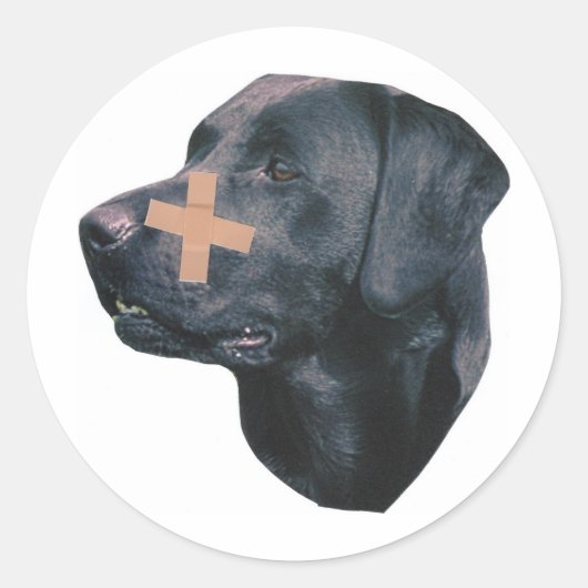 Labrador Retriever met pleister Ronde Sticker (Voorkant)