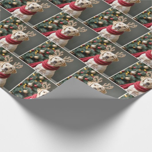 labrador retriever met rendiergewei cadeaupapier (Hoek)