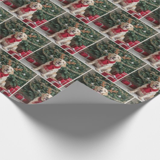 labrador retriever met rendiergewei cadeaupapier (Hoek)