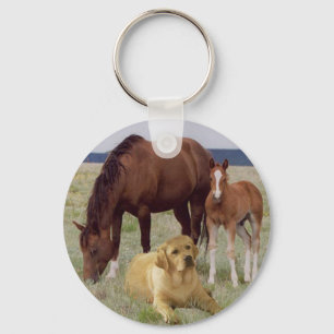 Labrador Retriever met Sleutelhanger van paarden