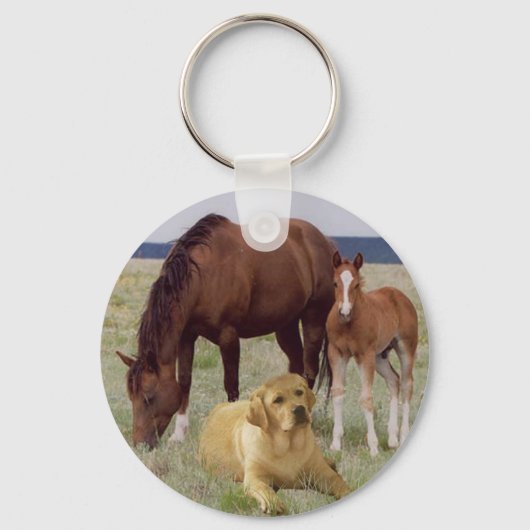 Labrador Retriever met Sleutelhanger van paarden (Voorkant)