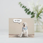 labrador retriever met stethoscoop briefkaart (Staand voorkant)