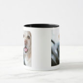 Labrador Retriever Mok (Midden)