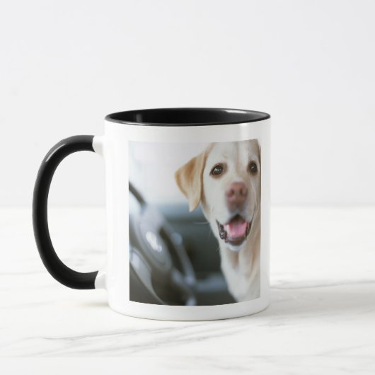 Labrador Retriever Mok (Links)