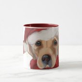 Labrador Retriever  Mok (Midden)