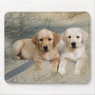 Labrador Retriever Mousepad Puppies Muismat