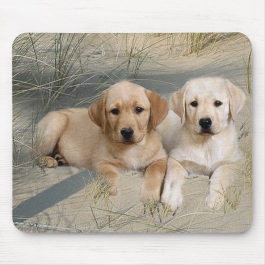 Labrador Retriever Mousepad Puppies Muismat (Voorkant)