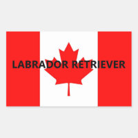 Labrador Retriever Naam Op Vlag