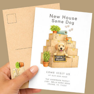 Labrador Retriever Nieuw Huis Verhuizen Briefkaart