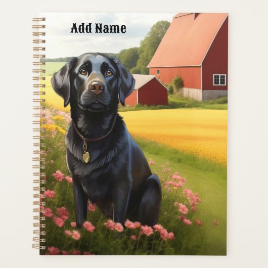 Labrador Retriever op boerderij Planner (Voorkant)