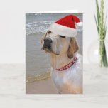 Labrador Retriever op strand Kerstmis Feestdagen Kaart<br><div class="desc">Labrador retriever draagt een kerstmuts op het strand. Vrolijke kerstgroet in rode kraag.</div>