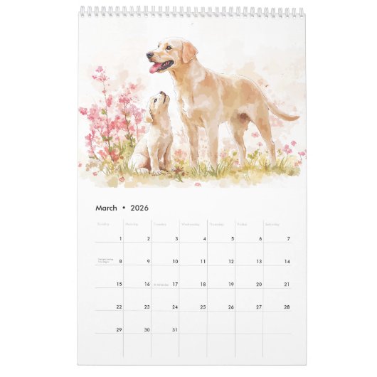 Labrador Retriever Ouder en Puppy Kalender (Mar 2026)