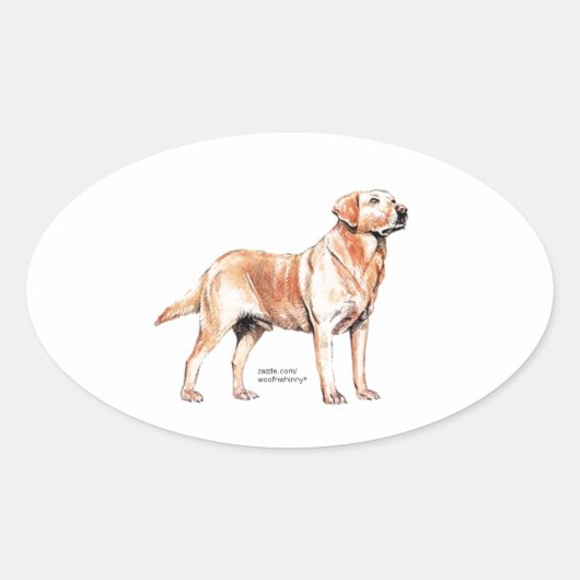 Labrador Retriever Ovale Sticker (Voorkant)