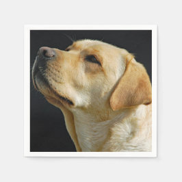 Labrador Retriever Papieren servetten