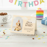 Labrador Retriever Party Pet Verjaardagsgroet Kaart<br><div class="desc">Vier het met staartwags en party petten met ons Labrador Retriever Party Pet Birthday Wenskaart! Met een schattige Labrador retriever die een feestelijk pet draagt, is deze kaart ideaal voor hondenliefhebbers en iedereen die een speciale dag viert. Binnen wachten hartverwarmende verjaardagswensen, belooft een dag vol vreugde, gelach en de heerlijke...</div>