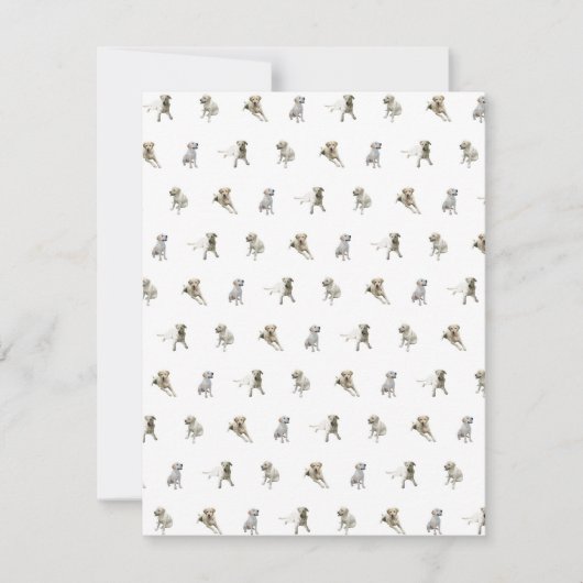 Labrador Retriever Pattern (wit) Bedankkaart (Voorkant)
