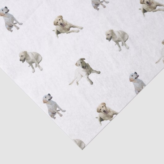 Labrador Retriever Pattern (wit) Tissuepapier (Detail)