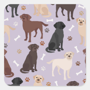 Labrador Retriever Paws and Botten Square Sticker