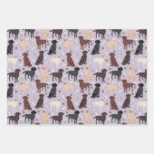 Labrador Retriever Paws en Botten Inpakpapier Vel (Voorkant 3)