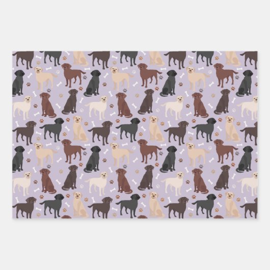 Labrador Retriever Paws en Botten Inpakpapier Vel (Voorkant 3)